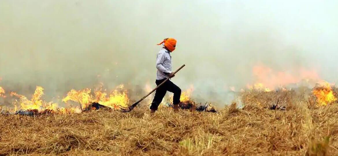 How far can you blame Agriculture for rising ambient air pollution in India? How far can you blame Agriculture for rising ambient air pollution in India?